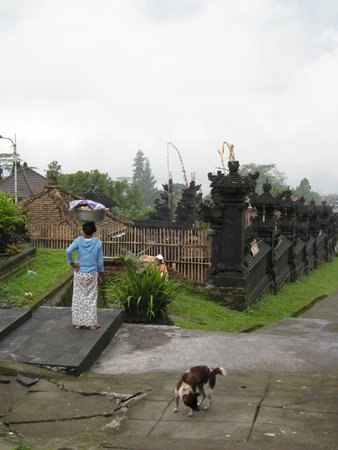 IMG_2499.JPG