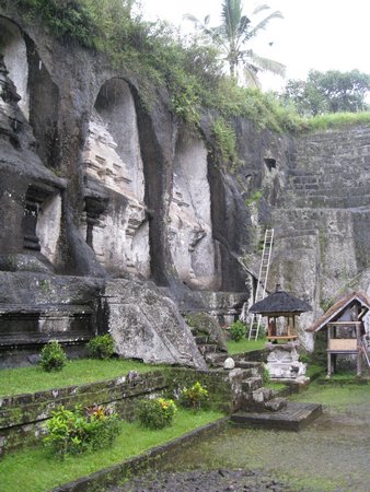 IMG_2530.JPG