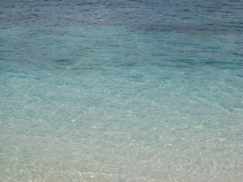 IMG_2583.JPG