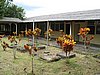 IMG_2235.JPG