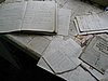 IMG_2242.JPG