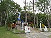 IMG_2247.JPG
