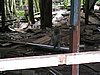 IMG_2250.JPG