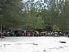 IMG_2270.JPG