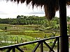 IMG_2272.JPG