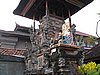 IMG_2305.JPG