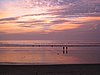 IMG_2316.JPG
