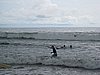 IMG_2319.JPG