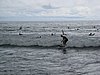 IMG_2324.JPG