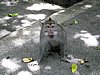 IMG_2340.JPG