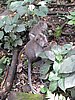 IMG_2342.JPG