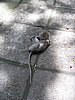 IMG_2345.JPG