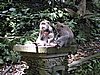 IMG_2346.JPG