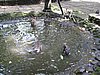 IMG_2348.JPG