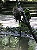 IMG_2350.JPG