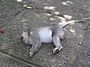 IMG_2351.JPG