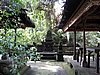 IMG_2354.JPG