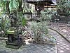 IMG_2355.JPG