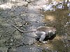 IMG_2356.JPG
