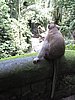 IMG_2358.JPG