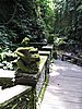 IMG_2364.JPG