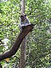 IMG_2366.JPG