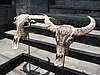 IMG_2377.JPG