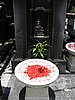 IMG_2380.JPG