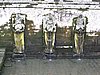 IMG_2428.JPG