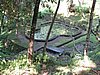 IMG_2431.JPG