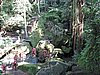 IMG_2432.JPG