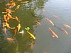 IMG_2438.JPG