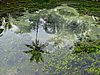 IMG_2446.JPG