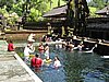 IMG_2448.JPG