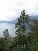 IMG_2459.JPG