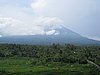 IMG_2462.JPG