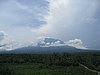 IMG_2463.JPG