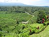 IMG_2464.JPG