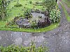 IMG_2467.JPG