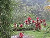 IMG_2468.JPG