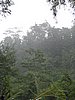IMG_2469.JPG