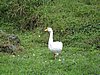 IMG_2471.JPG