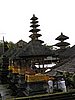 IMG_2480.JPG