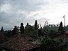 IMG_2495.JPG