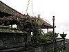 IMG_2498.JPG