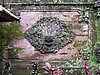 IMG_2506.JPG