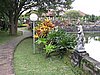 IMG_2511.JPG