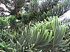 IMG_2522.JPG
