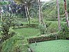 IMG_2529.JPG