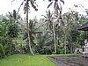 IMG_2532.JPG